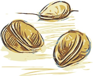 baumnussli